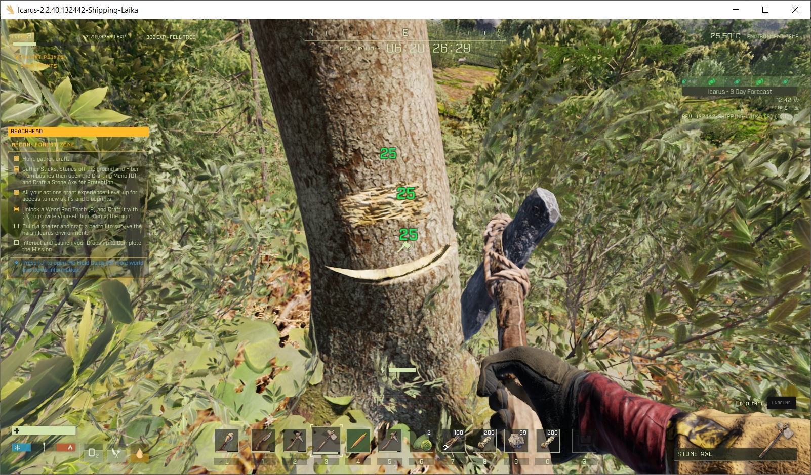 Tree Felling