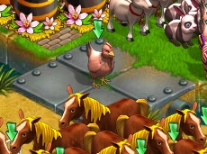 Bridge chicken