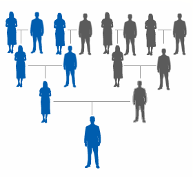 X-chromosome DNA inheritance