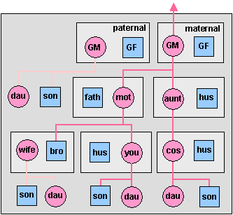 mtDNA