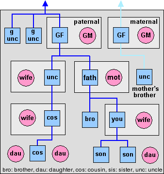 Y-DNA