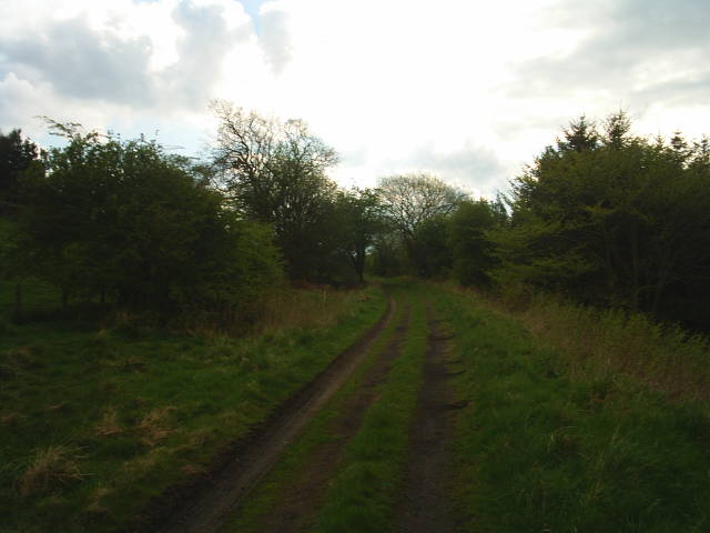 Allendale Railway