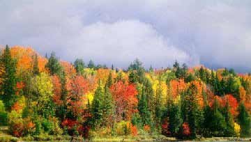 A lovely picture of an Ontario Canada Autumn laked with the Dorian Gray II Java applet