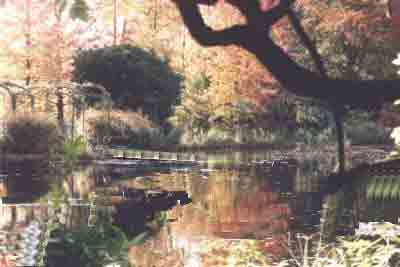 Claude Monet Gardens