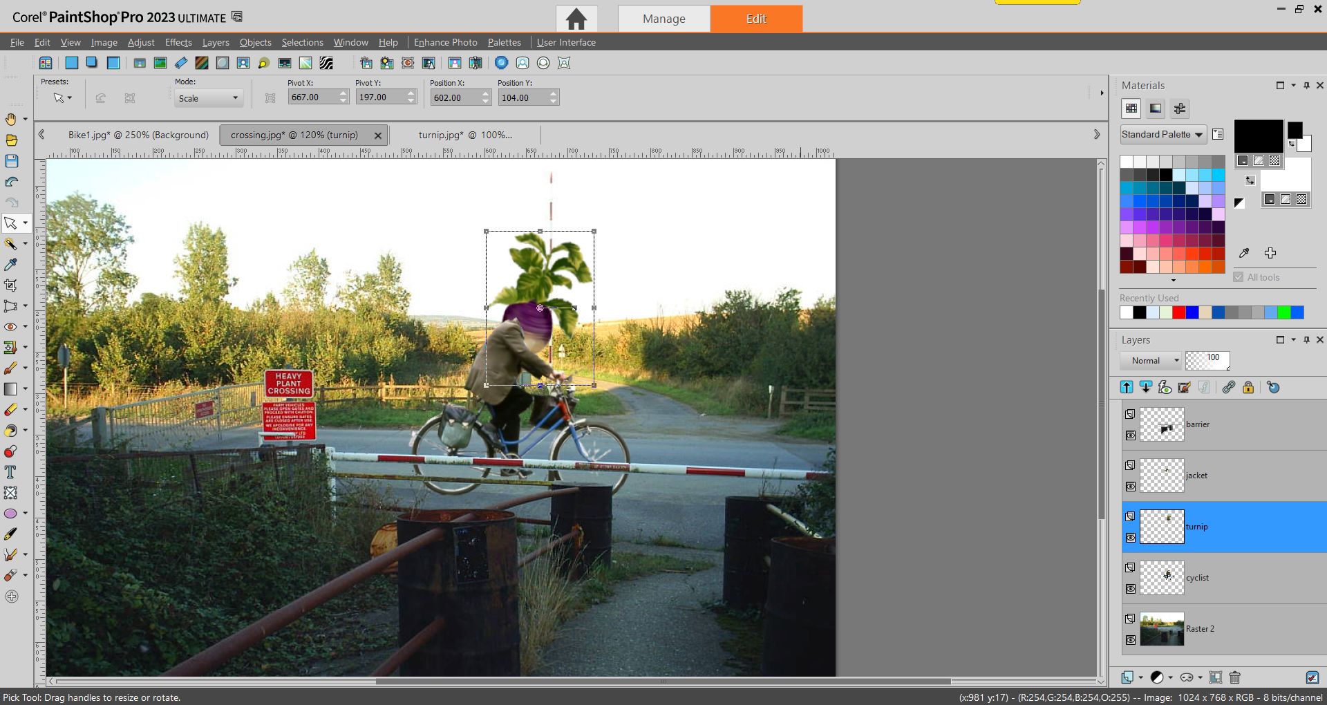 PaintShop Pro screenshot of adding the turnip
