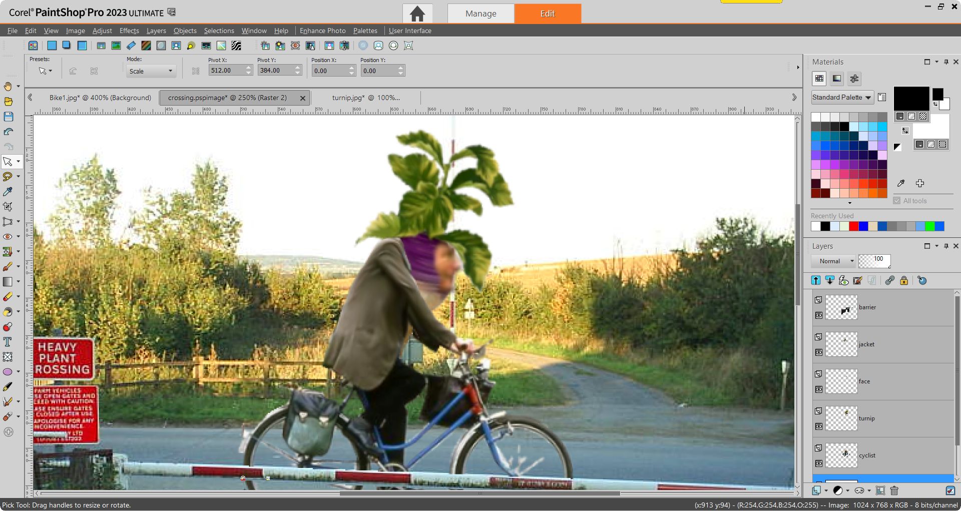 PaintShop Pro screenshot of adding the face