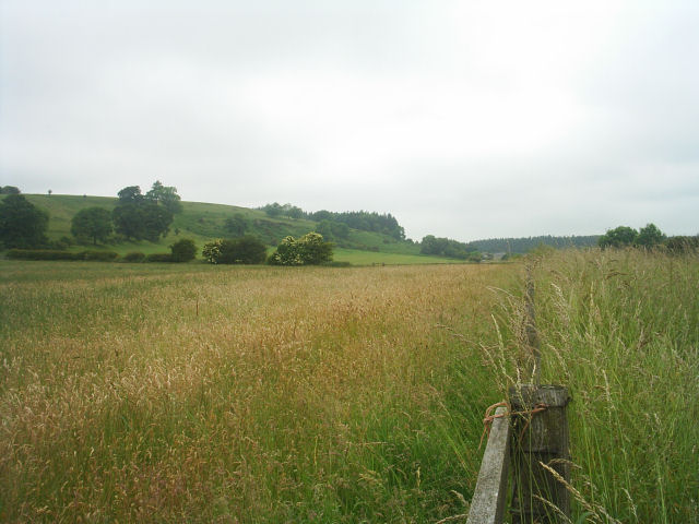 Allendale Railway