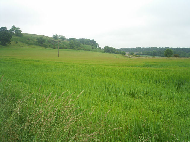 Allendale Railway