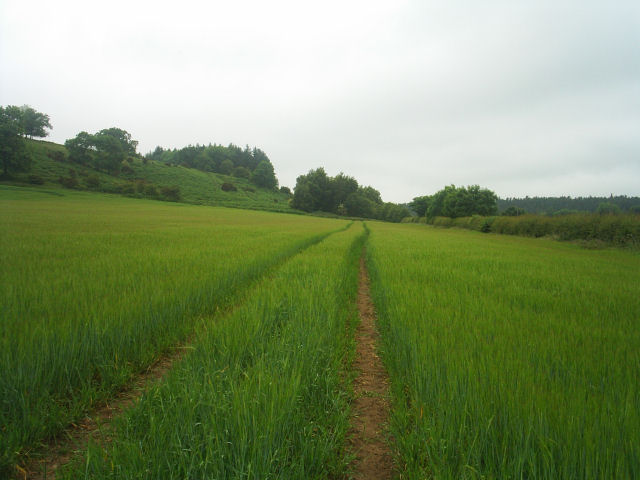 Allendale Railway