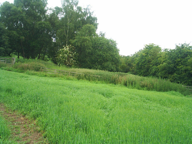 Allendale Railway