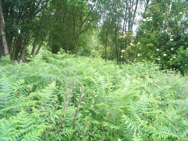 Allendale Railway