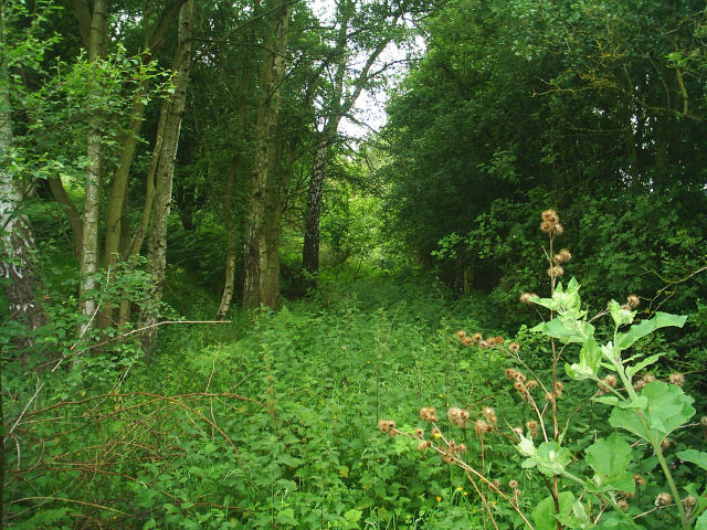 Allendale Railway