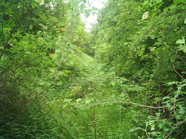 Allendale Railway