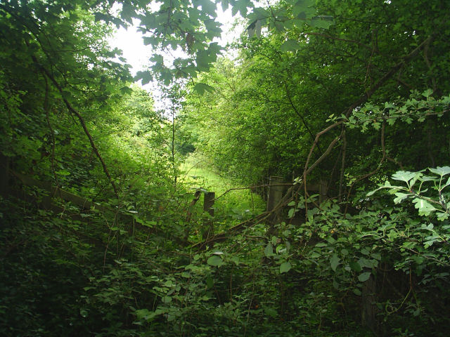 Allendale Railway