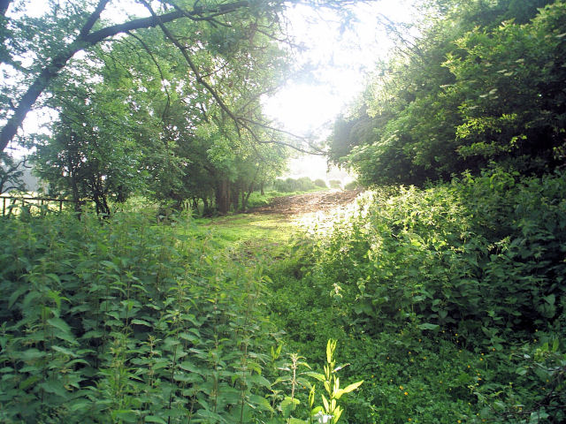 Allendale Railway