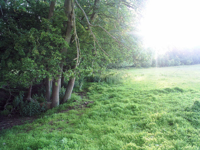 Allendale Railway