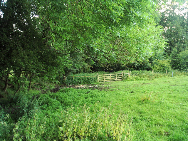 Allendale Railway