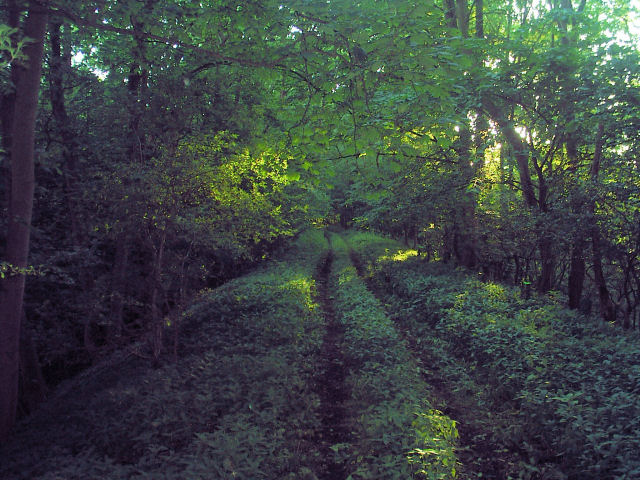 Allendale Railway