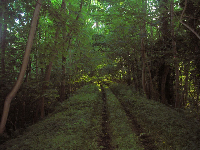 Allendale Railway