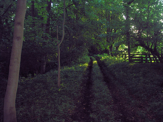 Allendale Railway