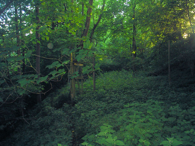 Allendale Railway