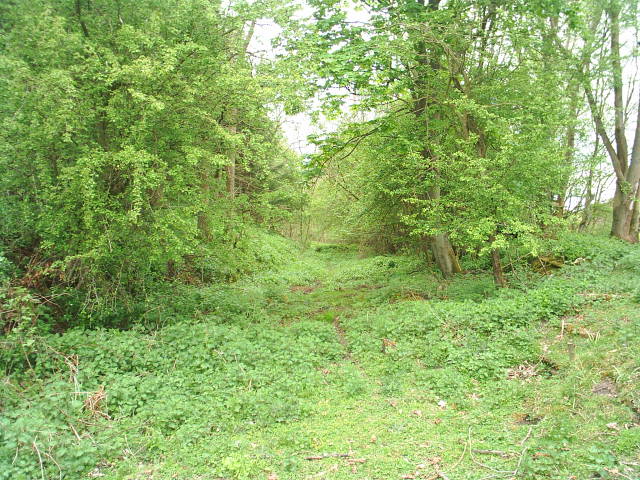 Allendale Railway