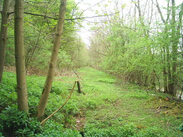 Allendale Railway