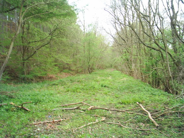 Allendale Railway