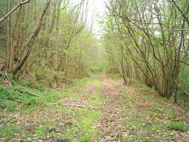 Allendale Railway