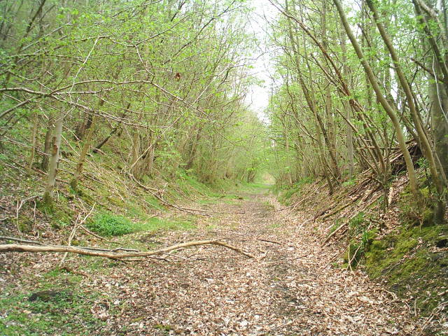 Allendale Railway