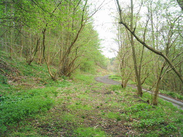 Allendale Railway