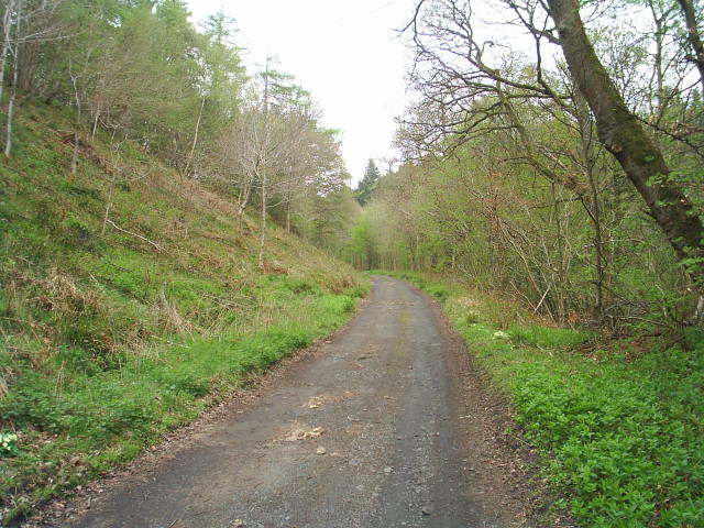 Allendale Railway