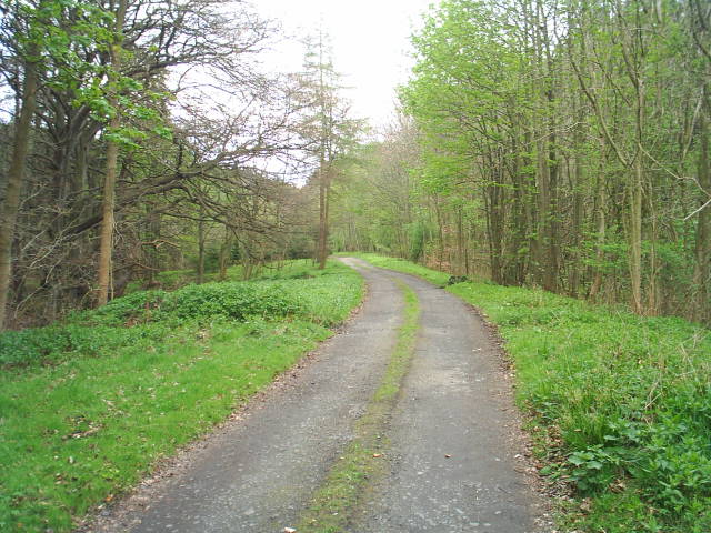 Allendale Railway