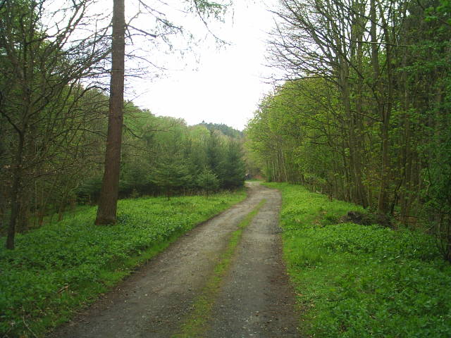 Allendale Railway