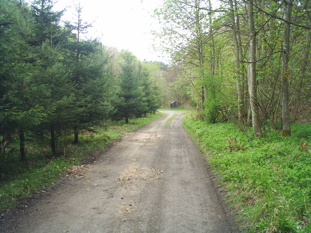 Allendale Railway