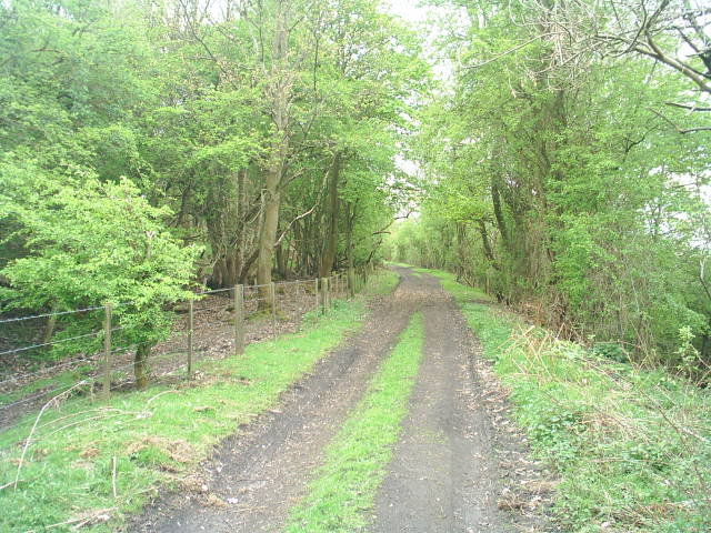 Allendale Railway