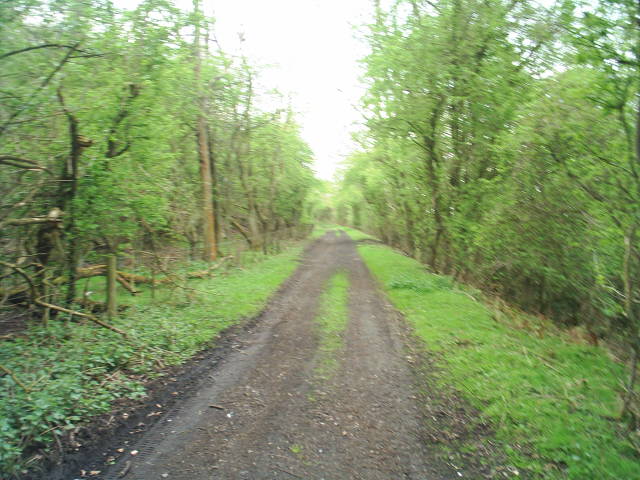 Allendale Railway