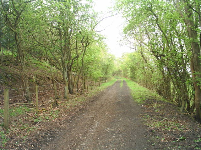 Allendale Railway