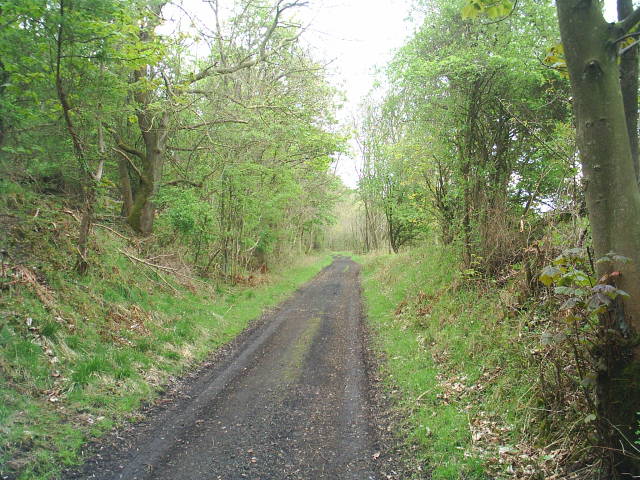 Allendale Railway