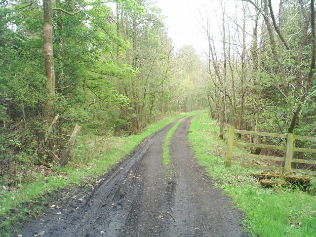 Allendale Railway