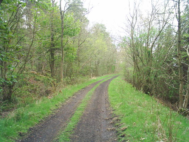 Allendale Railway