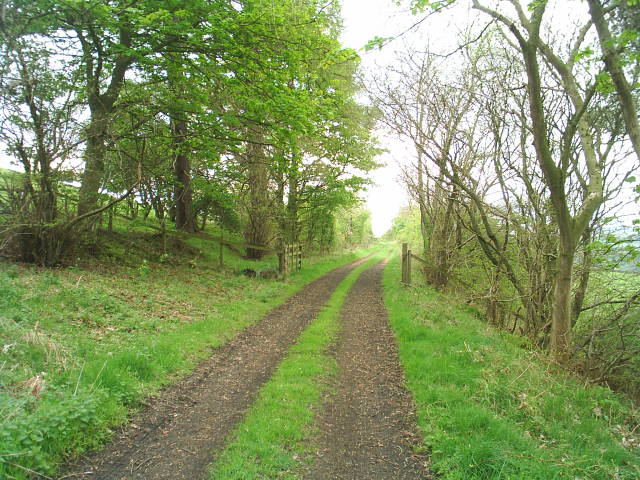 Allendale Railway