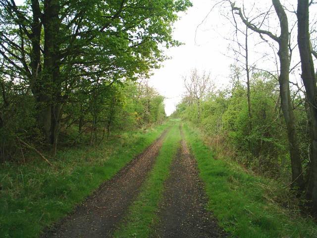 Allendale Railway