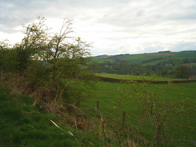 Allendale Railway