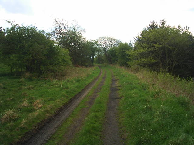 Allendale Railway