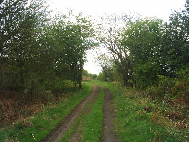 Allendale Railway