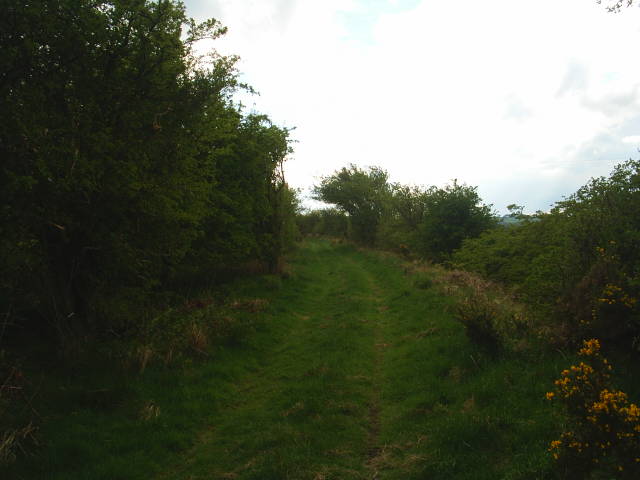 Allendale Railway