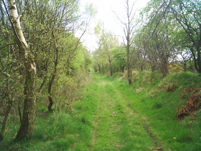 Allendale Railway