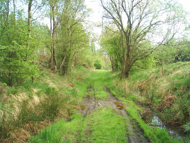 Allendale Railway