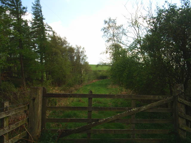 Allendale Railway